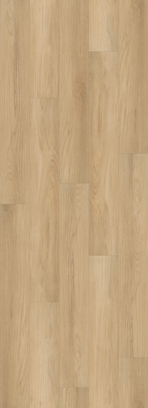 Golden Timber Golden Timber