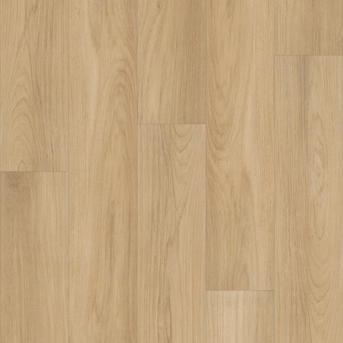 Golden Timber Golden Timber