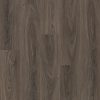 Dark Elm  