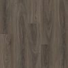 Dark Elm  