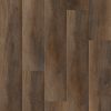 Highlight Oak  