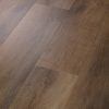 Highlight Oak  