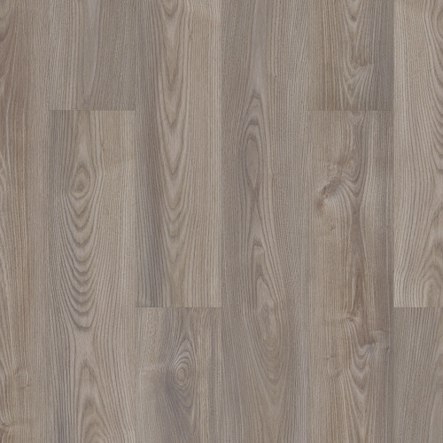 Grey Chestnut Grey Chestnut