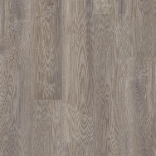 Grey Chestnut Grey Chestnut