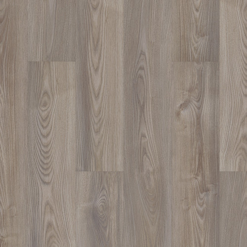 Grey Chestnut Grey Chestnut