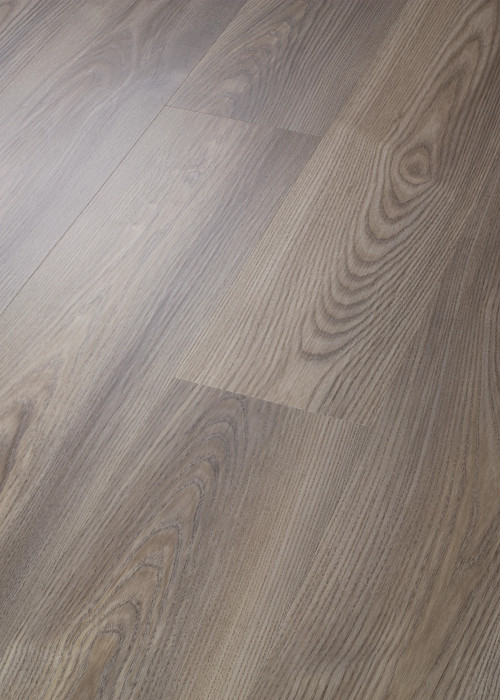 Grey Chestnut Grey Chestnut