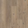 Accent Pine Accent Pine