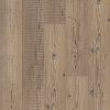 Accent Pine Accent Pine