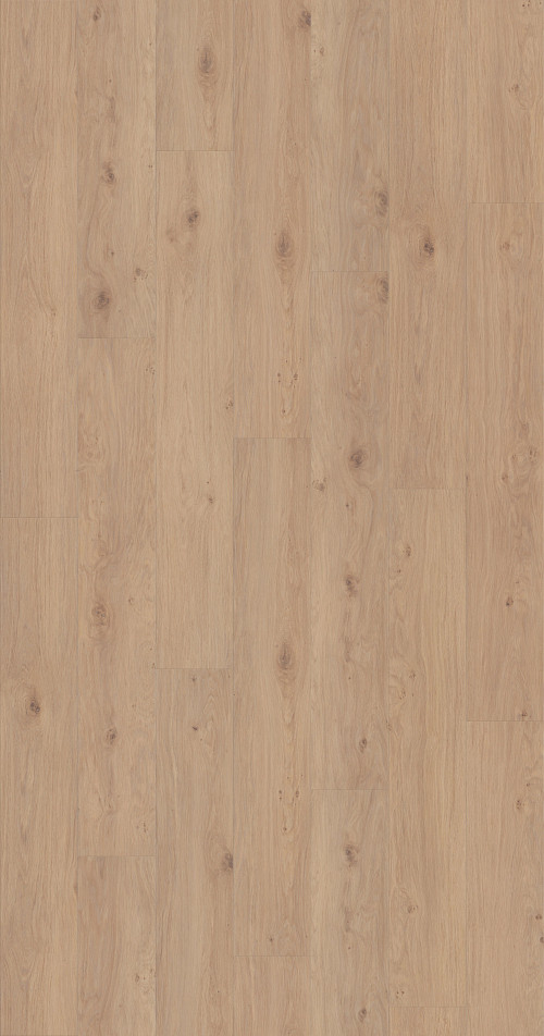 Occasional Beige Occasional Beige