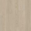 Shell Taupe Shell Taupe