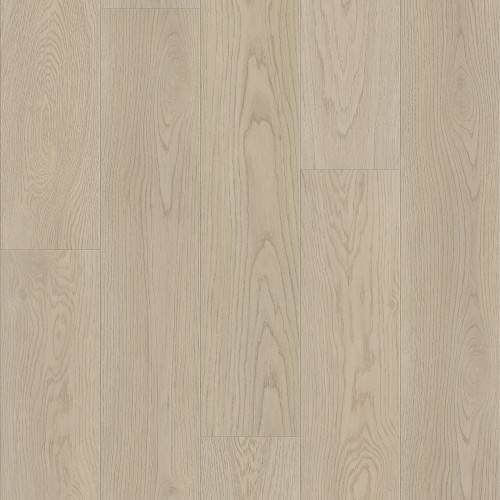 Shell Taupe Shell Taupe