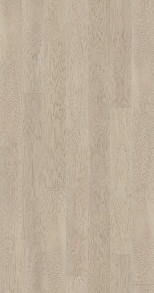 Shell Taupe Shell Taupe