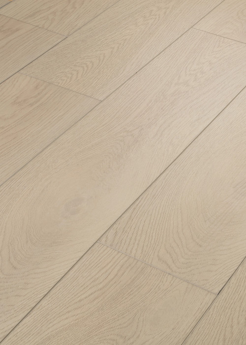 Shell Taupe Shell Taupe