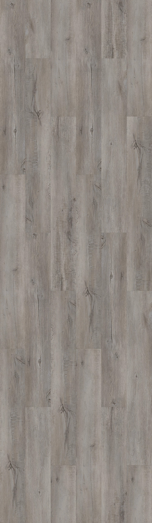 Greyed Oak Greyed Oak