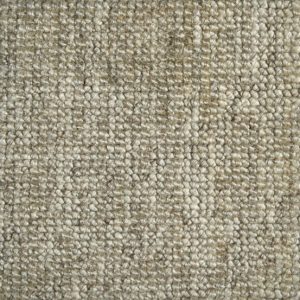 Virtue-Fossil Carpet 