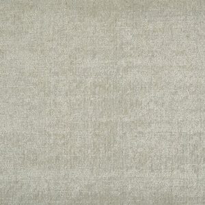 Vinaya-Oyster Carpet 