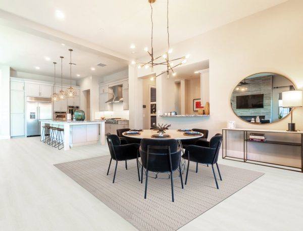 Candid-Chrome Carpet, stantoncarpet 