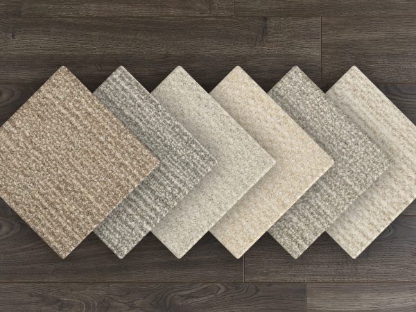 Yogi-Sand Dollar Carpet 