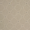 Andromeda-Silver Carpet, stantoncarpet 