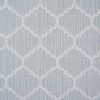 Carnegie-Cirrus Carpet 