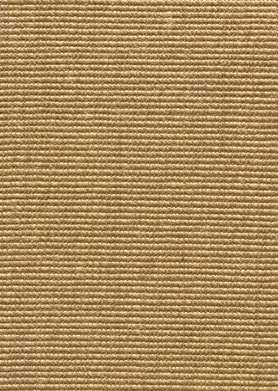 Cyprus-Autumn Commercial Carpet, stantoncarpet 