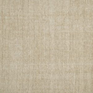 Divinity-Canvas Carpet 