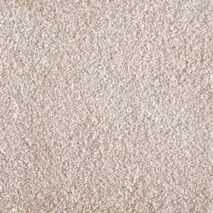 Jazzy-Bisque Carpet 