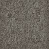 Jazzy-Pewter Carpet 