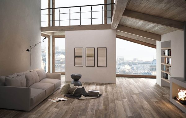 Reclaimed Corona, Light Commercial, Natural, Plank, Porcelain, Residential 