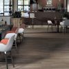 Reserve Honey, Light Commercial, Natural, Plank, Porcelain, Residential 