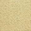 Sequoia-Beige Carpet 
