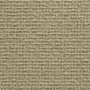 Sequoia-Sahara Carpet 