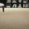 Shaggy Plush-Ivory Carpet 