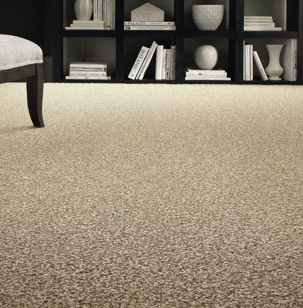 Shaggy Plush-Ivory Carpet 