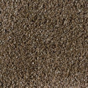 Shaggy Plush-Metallic Beige Carpet 