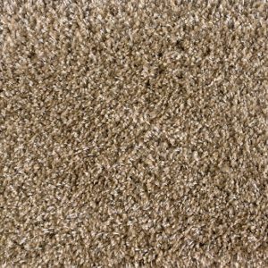 Shaggy Plush-Sand Carpet 