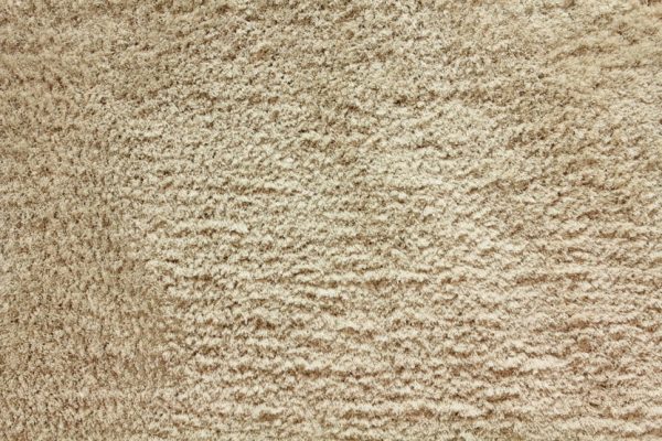 Shaggy Posh-Beachwood Carpet 