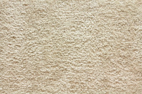 Shaggy Posh-Ivory Carpet 