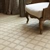 Synergy-Tarnished Nickel Carpet 