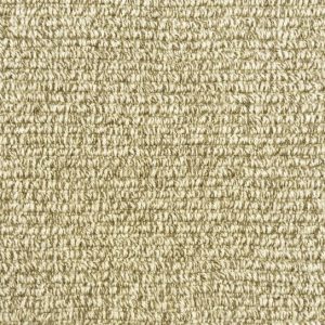 Wyoming-Gillette Carpet 