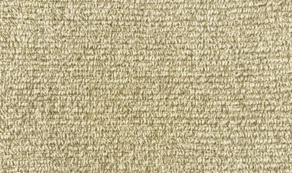 Wyoming-Gillette Carpet 