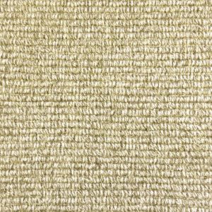 Wyoming-Greybull Carpet 