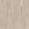 Arctic Oak  