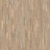 Oak Abetone  