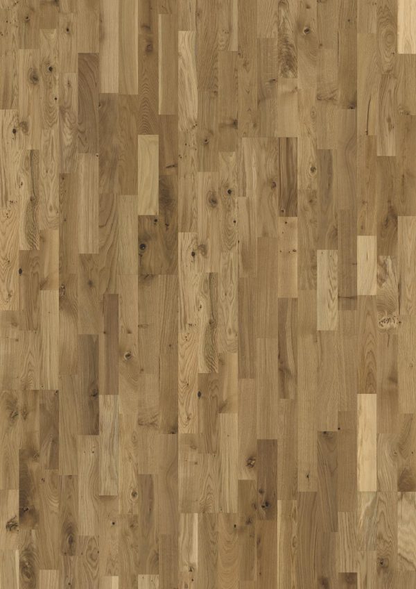 Oak Erve  