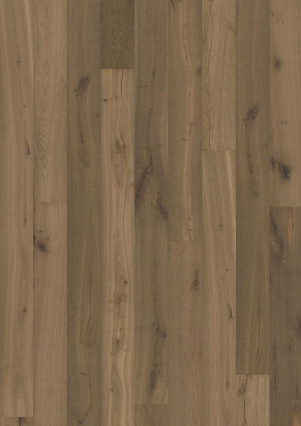 Texture Grau Texture Grau