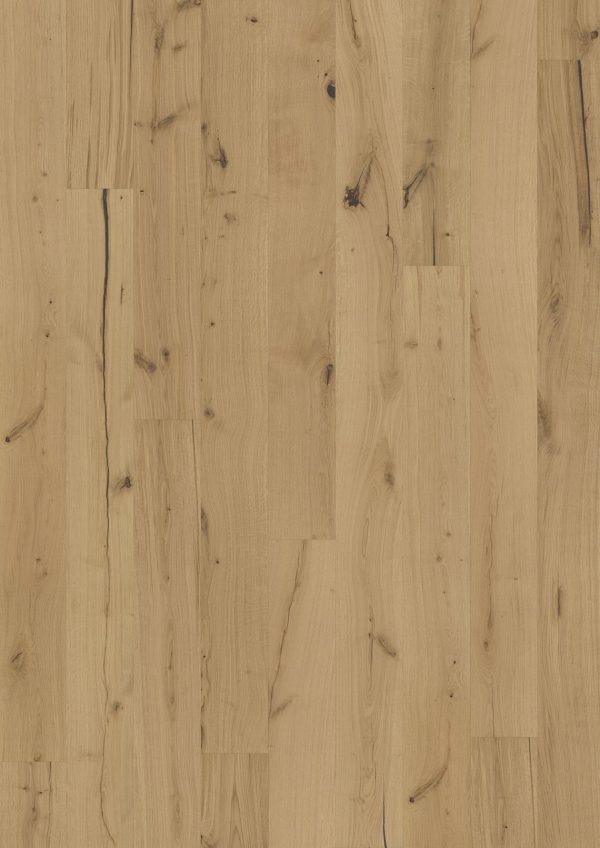 Texture Rohoptic  