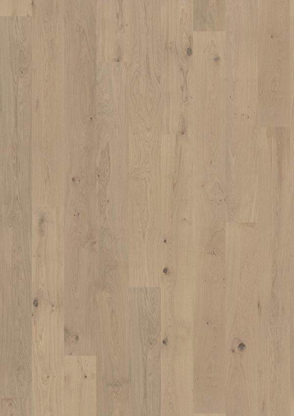 Oak Brighton  