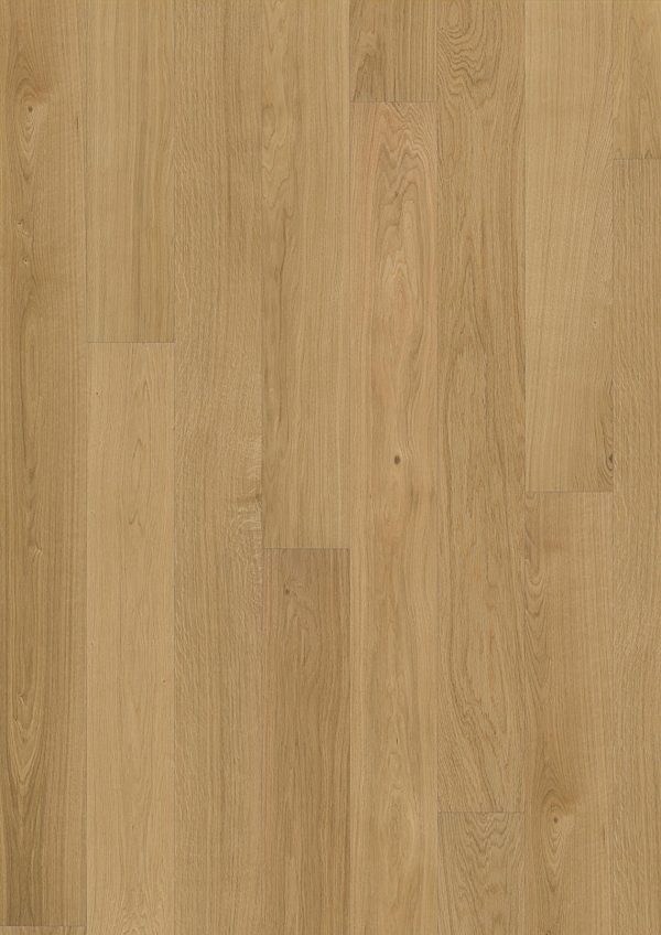Oak Dublin Oak Dublin