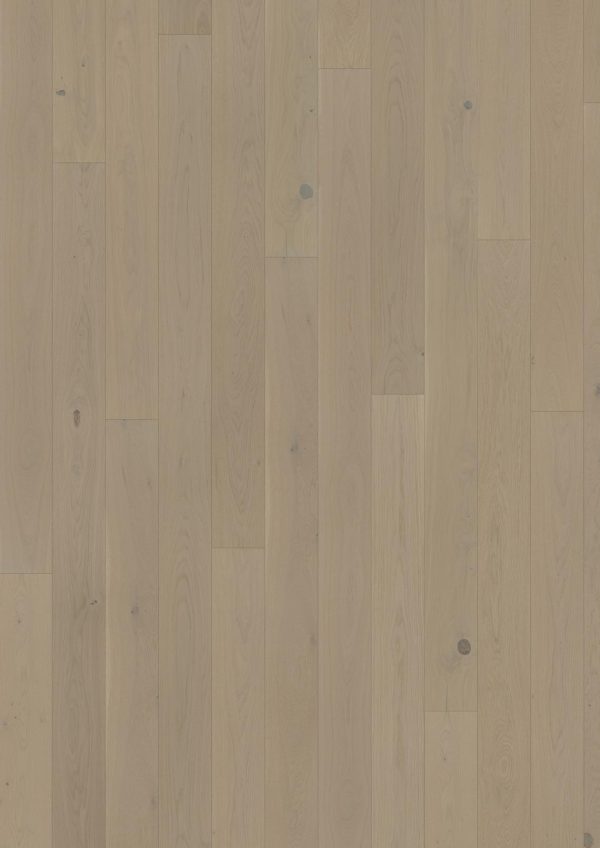 Oak Crayon Oak Crayon